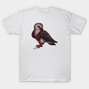 Cute Buzzard Drawing T-Shirt